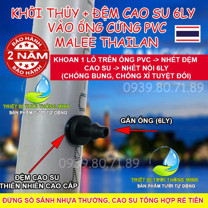Khởi thủy ron cao su ống 6ly