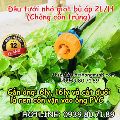 Đầu béc tưới cây nhỏ giọt bù áp lưu lượng 2 lít/giờ