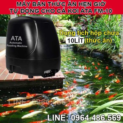 Thiết bị cho cá koi ăn cao cấp hẹn giờ tự động ATA FM-10